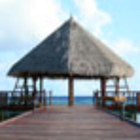 Grandma's New York Pizza